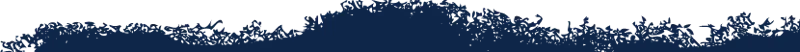 silhouette of a shards of plastic.